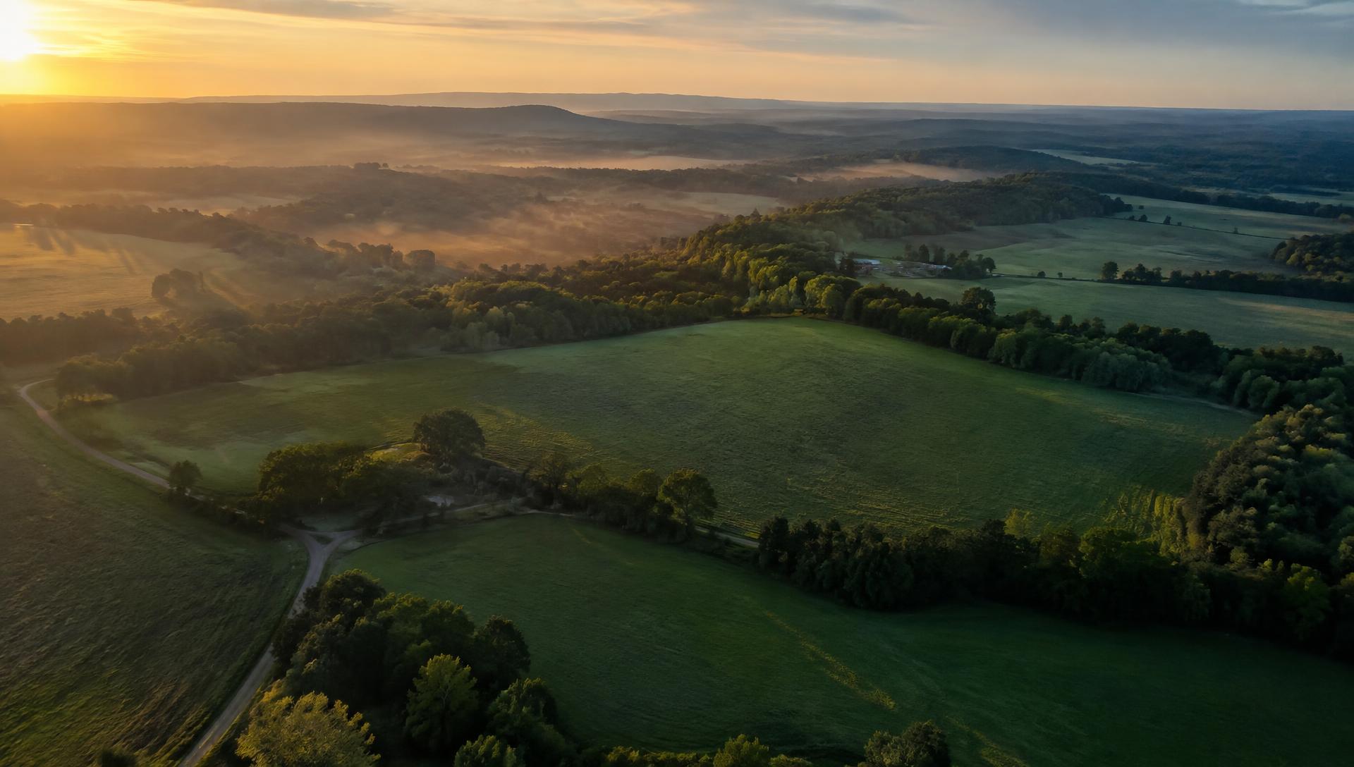 Aerial view of rolling pastures and woodland at sunrise